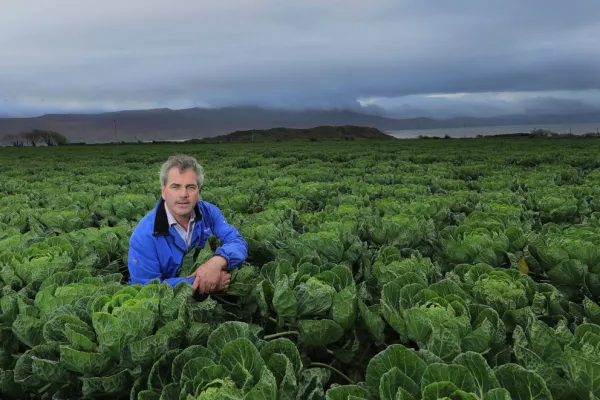 SuperValu Offers Financial Support To Vegetable Growers Hit By Drought Crisis