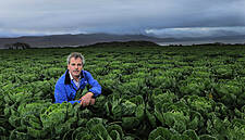 SuperValu Offers Financial Support To Vegetable Growers Hit By Drought Crisis