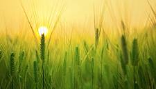 EU Seeks To Reset Relationship With Nature After COVID Crisis
