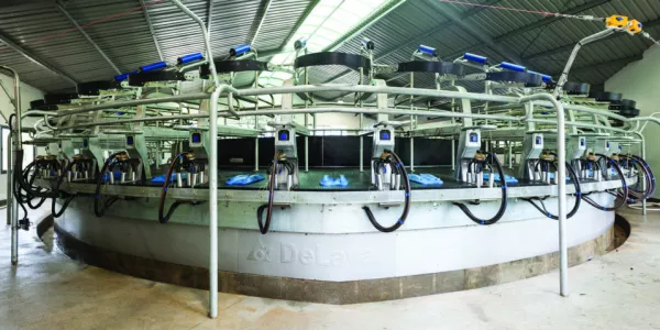 DeLaval Launches Its Latest Rotary Milking System In The UK And Ireland