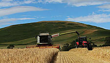 €300M In Funding Announced For Irish Farmers, Small Businesses