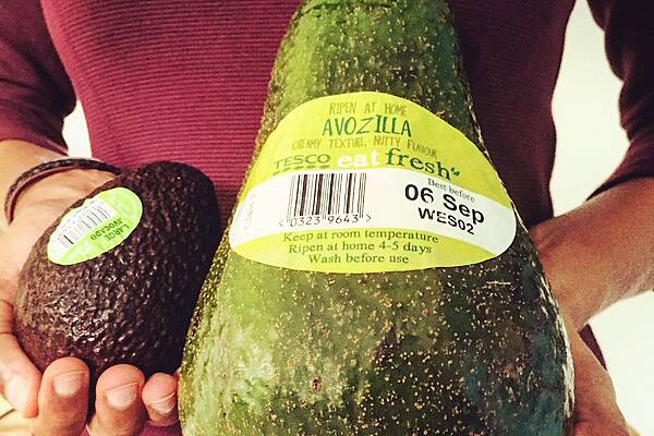 Tesco Ireland Announces The Return Of The ‘Avozillas’