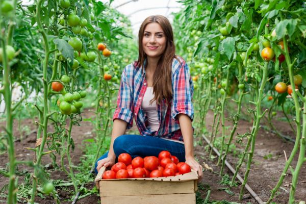 Creed Launches Drive For A Diverse And Inclusive Agri-Food Industry