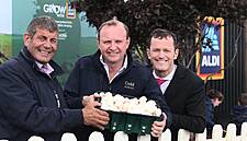 Aldi Announces Two-Year Deal With Carlow-Based Mushroom Growers