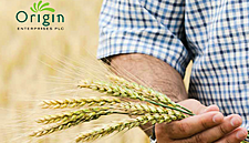 Origin Enterprises Post Revenue Increase Of 24% In Q1 Of FY2019