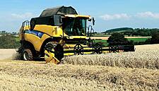 Dairygold Offers Highest Cereal Price Offering For Harvest Since 2012