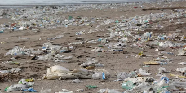 Irish MEP Welcomes EU Plastic Waste Bill