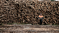 Bord Na Móna Withdraws Plans For US Wood Pellet Plant