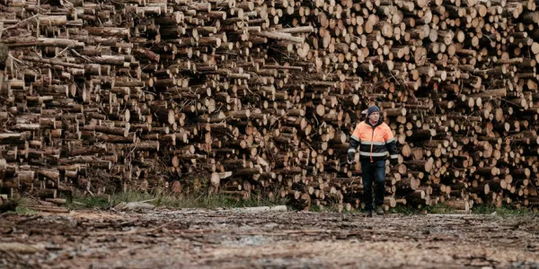 Bord Na Móna Withdraws Plans For US Wood Pellet Plant