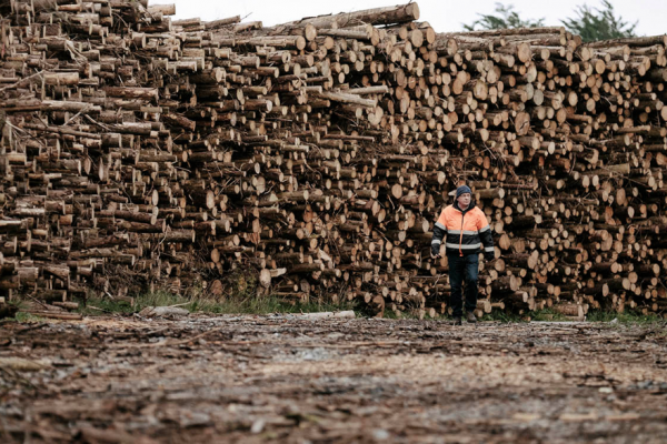 Bord na Móna Announces Up To 430 Redundancies