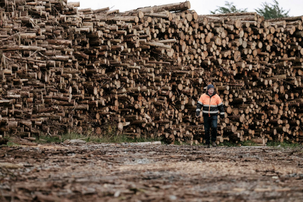 Bord Na Móna Withdraws Plans For US Wood Pellet Plant