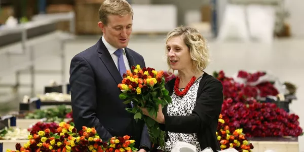 Aldi Fairtrade Roses Sales Increase 30%