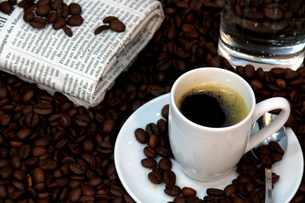 Many Coffee Species Threatened With Extinction, Scientists Warn
