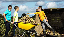 Bord Bia Launches A ‘Potato Survival Kit’ For National Potato Day
