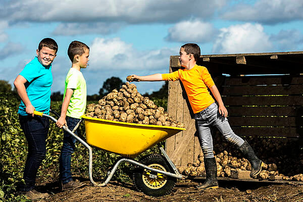 Bord Bia Launches A ‘Potato Survival Kit’ For National Potato Day