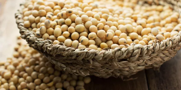 Soybean Futures Advance On US Supply Concerns
