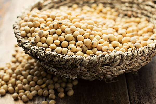 Soybean Futures Advance On US Supply Concerns