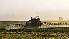 EU Should End Imports Made With Banned Pesticides: Farm Chief