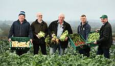 IFA Warns Against Retailers Discounting Fresh Produce In New Campaign