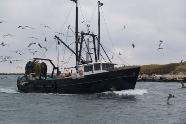 EU Fishing Quotas Pose Significant Challenges For Ireland, Minister Creed