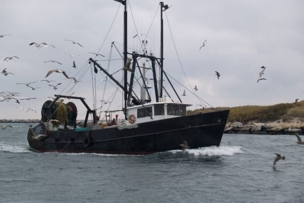 Irish Crab Market Collapses, Endangering Fishing Businesses