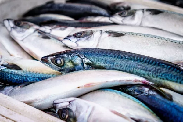 WTO States To Keep Talking After Missing Date To End Fish Subsidies