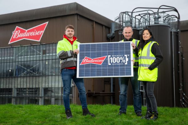 British Brewed Budweiser Beer To Rely On Solar Power From 2020