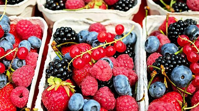 Total Produce Says Trading For For Half Has Been Satisfactory