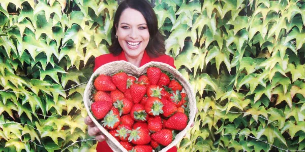 Aldi Forecasts Sales Of 1,000 Tonnes Of Irish Strawberries This Year