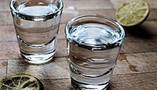 Constellation Brands Announces Minority Investment in Mezcal Producer