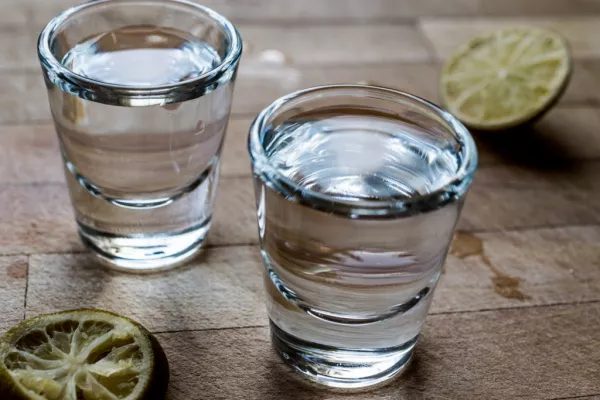 Constellation Brands Announces Minority Investment in Mezcal Producer