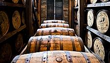 Drinks Ireland Welcomes Government Funding For Brewing And Distilling Project