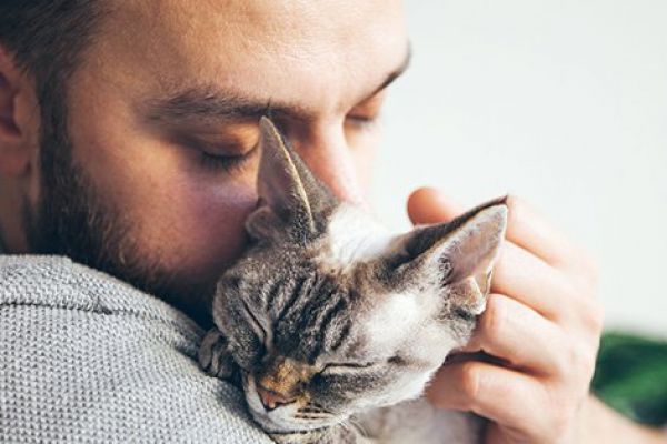 Nestlé Unveils New Method Of Reducing Cat Allergen