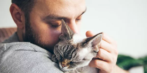 Nestlé Unveils New Method Of Reducing Cat Allergen