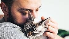 Nestlé Unveils New Method Of Reducing Cat Allergen