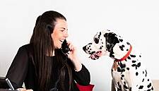 Purina Study Calls On Forward-Thinking Companies To Allow Pets At Work