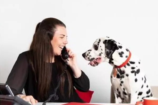 Purina Study Calls On Forward-Thinking Companies To Allow Pets At Work