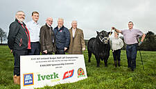 Aldi Offers €27,000 Prize Fund For Ireland’s Best Bulls