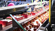 Pink Lady Sells 170,000 Tons Of Apples Despite 'Harsh Weather' During Spring Harvest