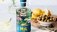 Irish Brand Takes Home Gold In The Gin Masters Awards 2019