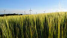 'Brown To Green' Transition Drives Born na Móna Losses To Almost €50M