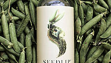 Diageo Buys Majority Stake In Non-Alcoholic Spirit Maker Seedlip