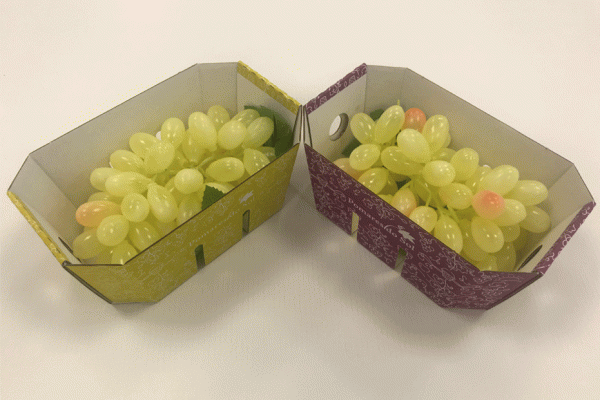 Smurfit Kappa Unveils New Sustainable Packaging For Grapes