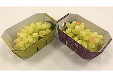 Smurfit Kappa Unveils New Sustainable Packaging For Grapes
