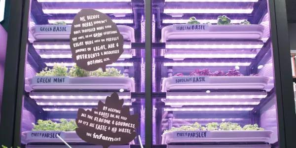M&S Food Partners With Infarm For Vertical Farming Units UK Stores