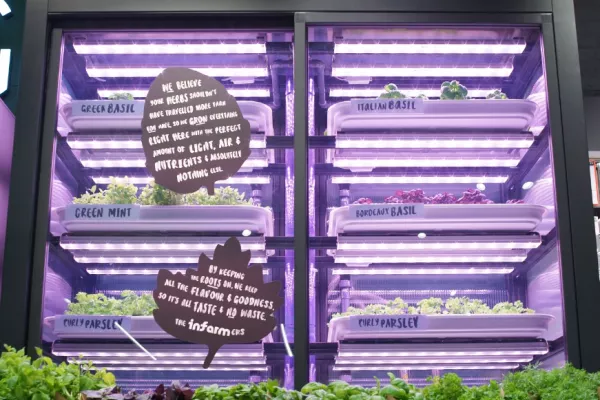 M&S Food Partners With Infarm For Vertical Farming Units UK Stores
