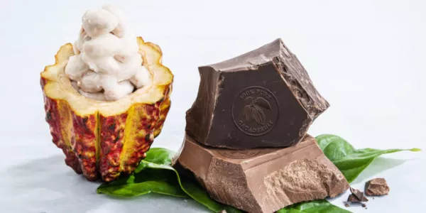 Barry Callebaut Shares Slide As High Cocoa Prices Trigger Debt