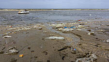 Nestlé Waters Teams Up With Ocean Legacy For Plastic Waste Cleanup
