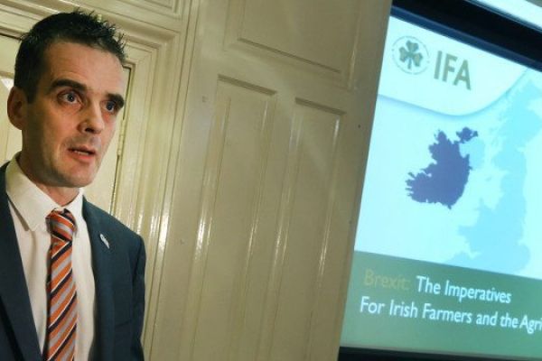 Farmers Facing Armageddon From Brexit Require EU Support, IFA