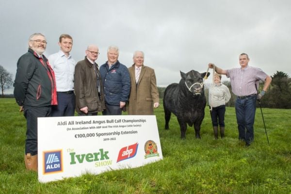 Aldi Extends Sponsorship Of Angus All Ireland Bull Calf Championships